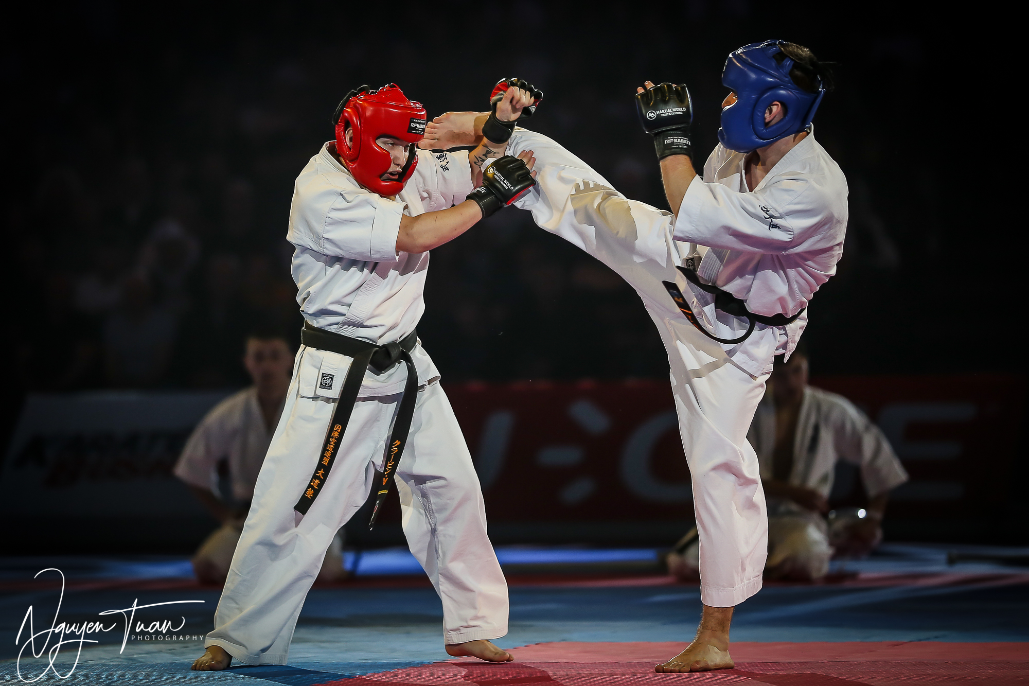 20190324 Festival des Arts Martiaux 3237